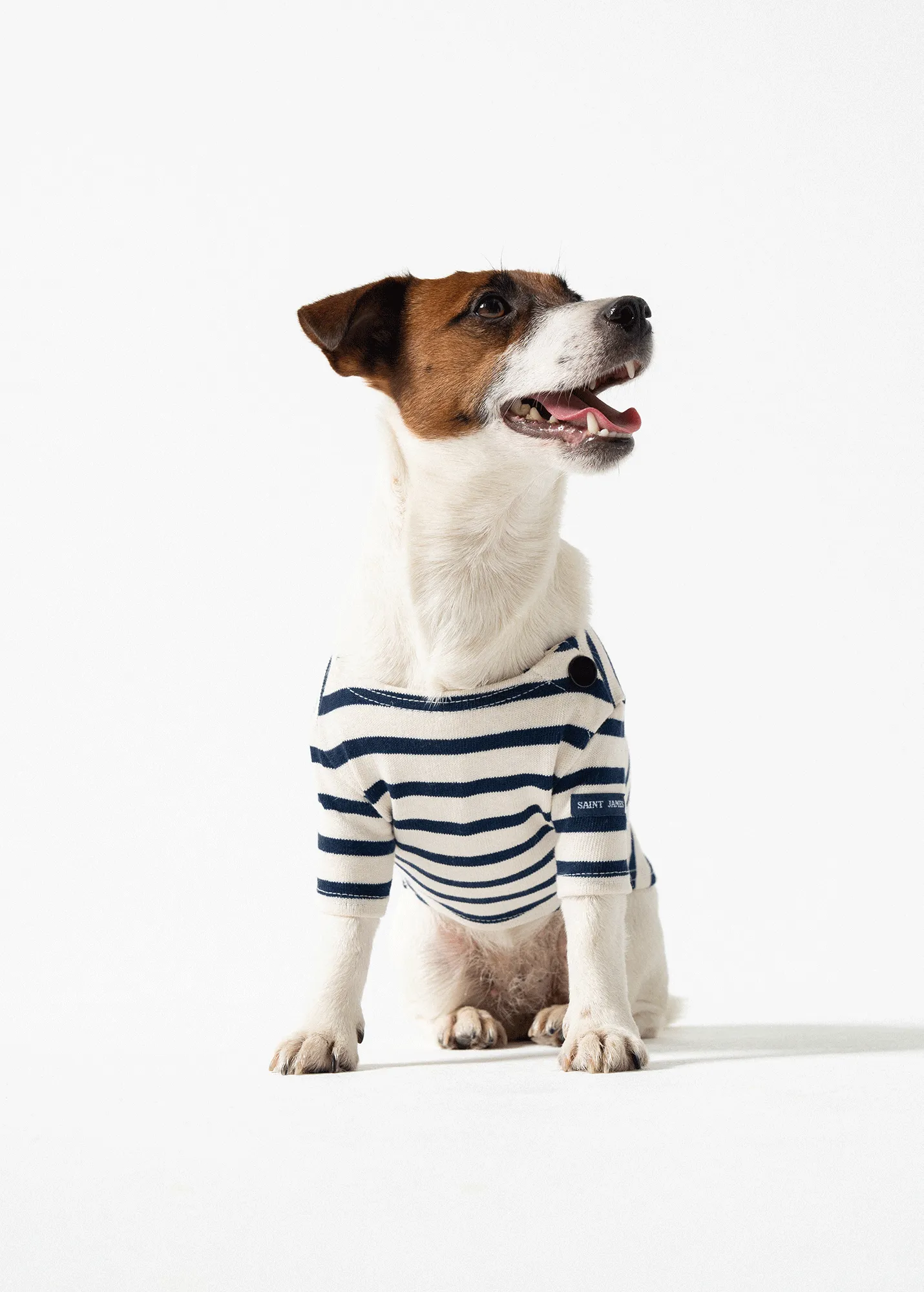 La Toutounire SAINT JAMES - marinire pour chien (ECRU/MARINE)