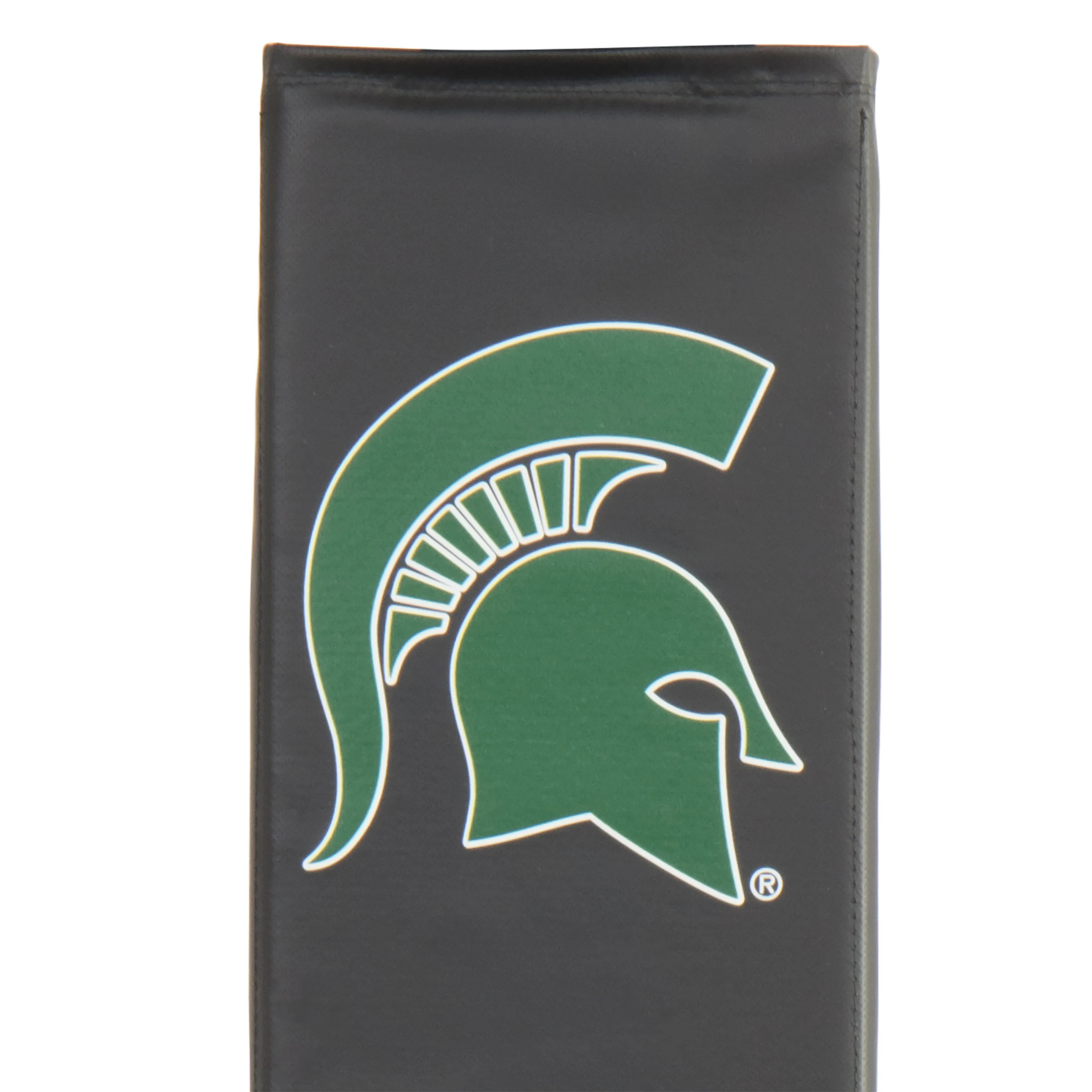 Michigan State Spartans Basketball Pole Pad Goalsetter