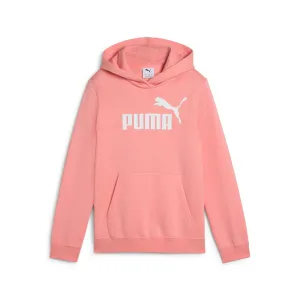 PUMA Women's Essentials No. 1 Logo Hoodie